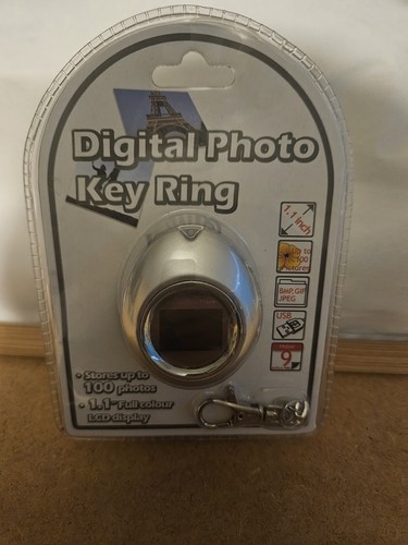 Digital photo key ring - key,