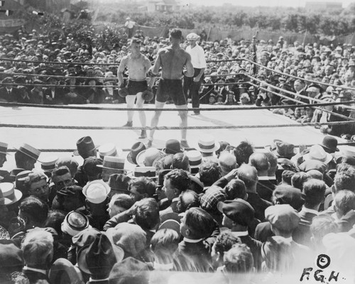 Two boxers and referee - boxers,