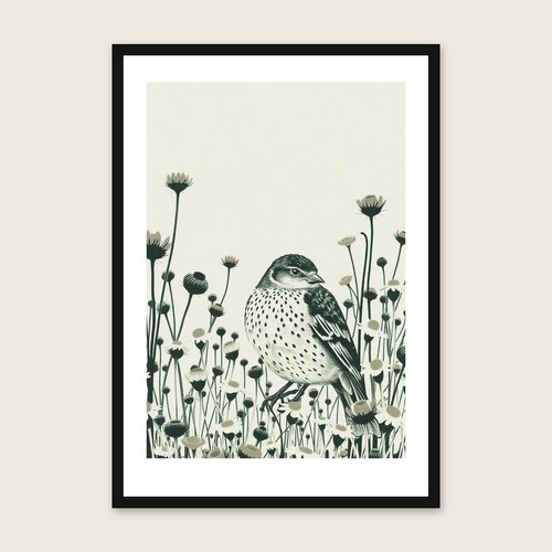 Ring ouzel wall - ouzel, art
