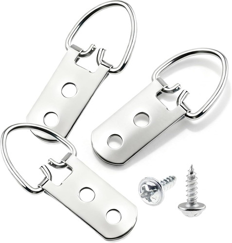 Ring picture hangers with - picture,